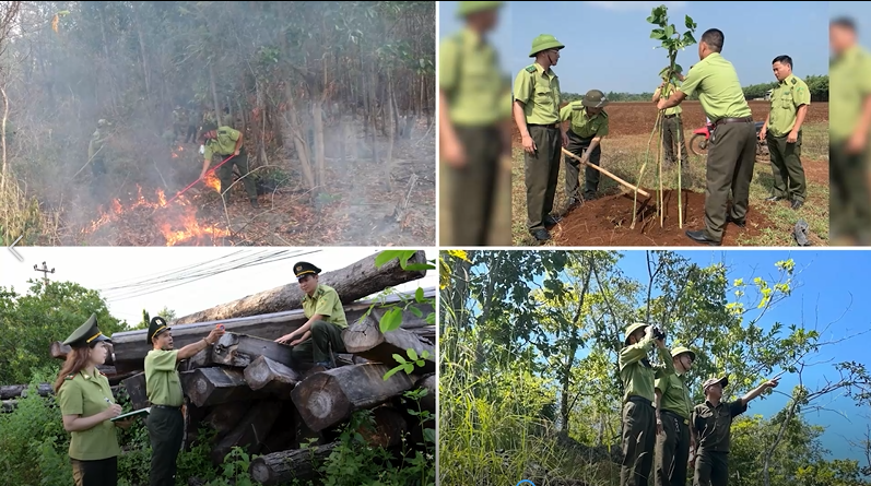 Góp ý Dự thảo Quyết định của UBND tỉnh ban hành quy định phòng cháy, chữa cháy rừng trên địa bàn tỉnh Đắk Lắk